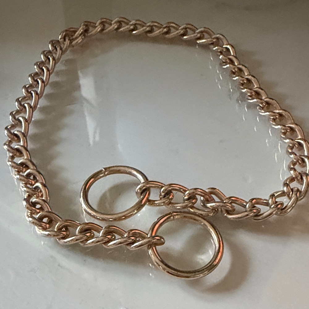 Gold Chain necklace/dog collar (small)